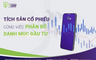 TÍCH SẢN CỔ PHIẾU CÙNG VIỆC PHÂN BỔ DANH MỤC ĐẦU TƯ